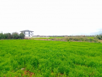 Döşemealtı Yeşilbayır’da 861 m² Köşe Konumlu, Çift Cepheli Villa İmarlı Arsa