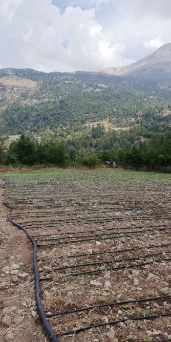 KONYAALTI DOYRANDA SATILIK 5460M2 TEK TAPU EV VE BAHÇE