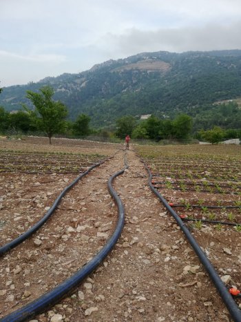 KONYAALTI DOYRANDA SATILIK 5460M2 TEK TAPU EV VE BAHÇE